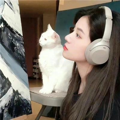 冰上火花